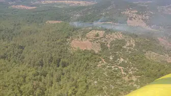 Menteşe'de ormanlık alanda korkutan yangın: Ekiplerin hızlı müdahalesi faciayı önledi
