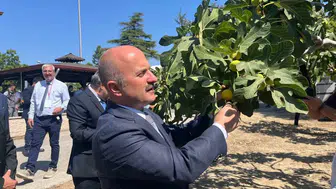 Aydın incirine 100 milyonluk bilimsel kalkan: Ar-Ge merkezi kuruluyor
