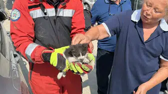 Menteşe'de yürekleri ağza getiren kedi kurtarma operasyonu