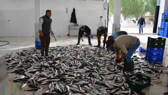 Muğla’nın İhracatında Rekor Temmuz: Dış Ticaret Dengesinde 3,6 Kat Fark