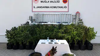 Bodrum'da zehir tacirlerine jandarma darbesi: Evini laboratuvara çevirmiş