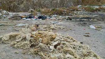 Bolvadin’de çevre skandalı: Eski kum ocağı vahşi depolama alanına döndü