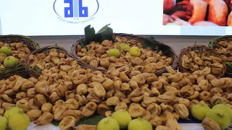 Aydın’da kuru incir sezonu açıldı: İlk hasat 850 TL’den borsada yerini aldı
