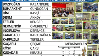 Aydınlı üretici tarlada buluşuyor: İncir hasadı öncesi kritik zirve