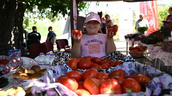 Yamanlar’ın Bereketli Topraklarında Domates İçin Saha Buluşması