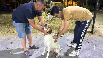 Sarıgöl'de avcılar harekete geçti: Dostlarımıza kuduz kalkanı