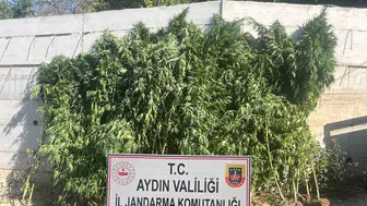 Dereköy'deki Saksılar Jandarmayı Harekete Geçirdi: 41 Yaşındaki Şüpheli Tutuklandı