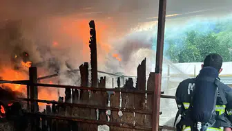Ula’da geceyi aydınlatan dehşet: Ahır yangınında büyük kayıp