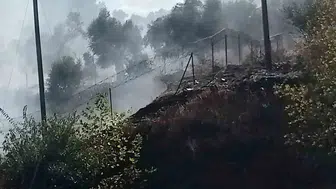 Milas-Söke hattında korkutan yangın: Ekipler alevlere geçit vermedi