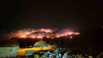 Bodrum'da korkutan yangın: Alevler rüzgarla birlikte kabusa dönüştü