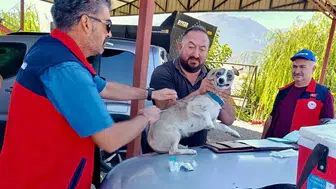 Afyonkarahisar’da sevimli dostlara koruma kalkanı: Kuduz riski için harekete geçildi