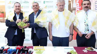 Manisa’da üzümün izinde dört günlük festival maratonu: Şehzadeler şenliğe hazır