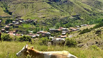 Afyonkarahisar'da tarlada mesai: Üreticinin kalkınması için yerinde denetim