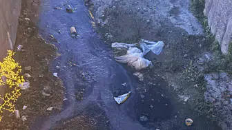 Urla'da dere isyanı: Emekli öğretmenden belediyeye çarpıcı teklif