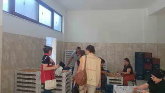 Avrupa tescilli Aydın incirinde sıkı takip: Bozdoğan’da denetim mesaisi