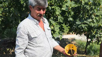 Muğla’da çiftçinin hasadı güvence altında: Kimyasal ilaca veda dönemi