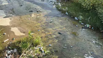 Aydın’ın göbeğinde utandıran manzara: Dere yatağı atıklarla doldu taştı