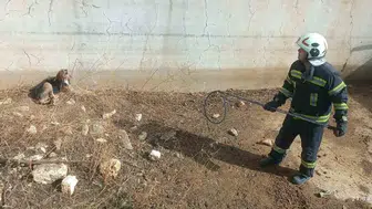 Ölüm çukurunda günlerce yaşam mücadelesi verdi: İtfaiye ekipleri son anda yetişti