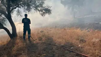Bodrum-Milas yolunda korkutan alevler: Ekipler zeytinlikleri kurtardı