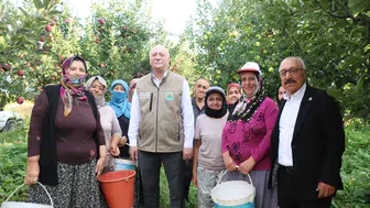 Çivril elma bahçelerinde bereketli hasat: Rekolte beklentisi ikiye katlandı