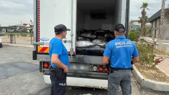 Mavi sulardan kaçak sevkiyata polis engeli: 3 tonluk orkinos yakalandı