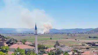 Milas’ta sazlık yangını paniği: Ekipler alevlere geçit vermedi
