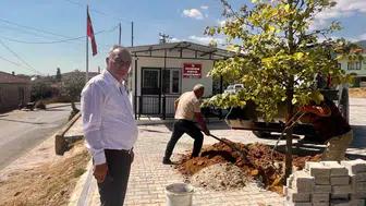 Sultanhisar’da yarınlara nefes olacak seferberlik: Toprak fidanla buluşuyor