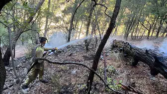 Dalaman'da orman yangını paniği: Ekipler zorlu arazide saatlerce mücadele etti