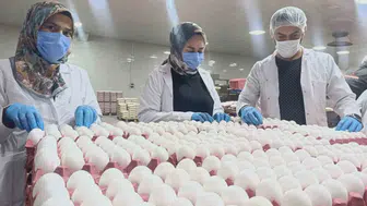 Mutfakların temel gıdası için müjdeli haber: Yumurta fiyatlarında zam beklenmiyor