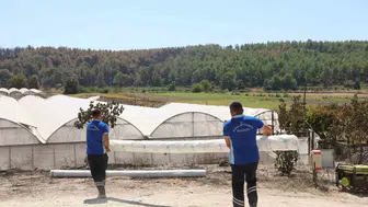 Seydikemer’de yangın felaketinin izleri hızla siliniyor: Üreticiye can suyu desteği