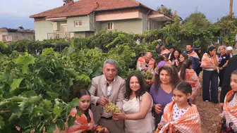Çal'da sağanak bereketi: Bağbozumu coşkusu Edip Akbayram anısıyla taçlandı