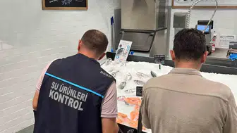 Didim’de balık tezgahları mercek altında: Kurallara uyum denetimi
