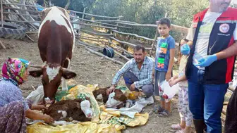Muğla'da hayvancılıkta yeni dönem: İlk 24 saat için devreye alınan proje ile hedef yüzde 1'e inmek
