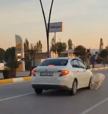Akhisar yolunda acı kaza: Sürü aniden yola fırladı
