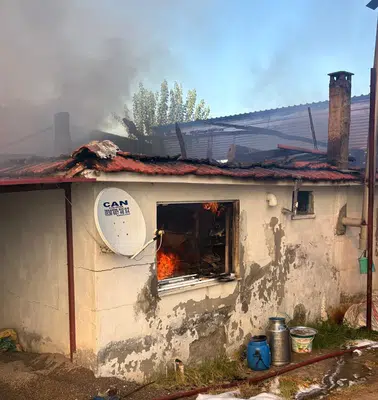 Karacasu'da alevler dehşet saçtı: Ev ve hayvan damı küle döndü