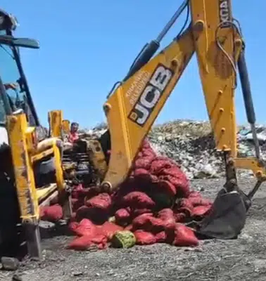 Manisa otoyolunda şüpheli sevkiyat: 4 ton midye imha edildi