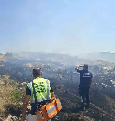 Didim'de yangın alarmı: Belediye ekipleri alevlere su tankeriyle müdahale etti