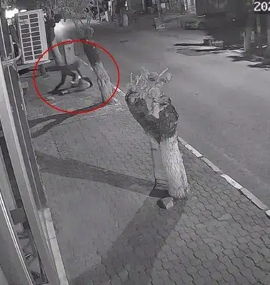 Kemalpaşa'daki dehşet davasında flaş gelişme: Tahliye edilen saldırgan için yeniden yakalama kararı
