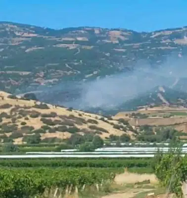 Manisa Sarıgöl'de ormanlık alanda korkutan yangın: Ekipler teyakkuza geçti