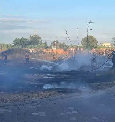 Efeler'de korku dolu anlar: Alevlerin sardığı ağıldaki hayvanları son anda kurtardılar