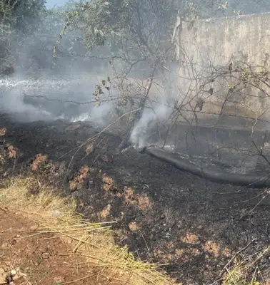 Köşk'te zeytinlik alarmı: Ekipler alevlerin önünü kesti