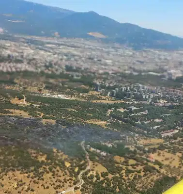 Bornova'da alevlere geçit yok: Orman yangını büyümeden söndürüldü
