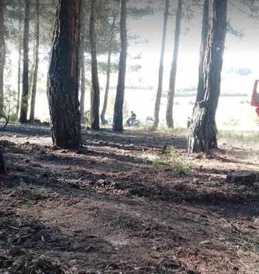 Tavşanlı'da ormanlık alanda korkutan dumanlar: Ekipler felaketi önledi