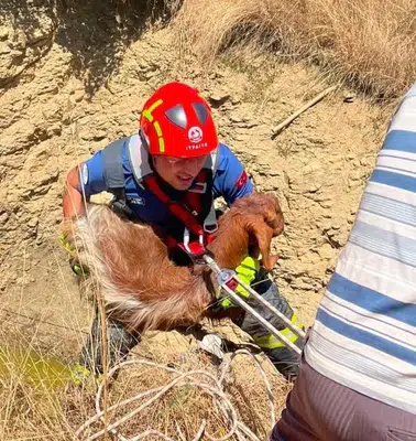 Çobanın imdadına itfaiye yetişti: 5 metrelik kuyudan sağ çıktı