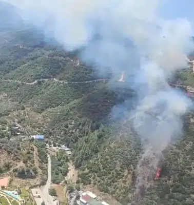 Narlıdere alevlere teslim: Ekipler orman yangınıyla mücadele ediyor