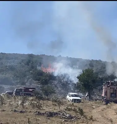 Denizli’de arı kovanları söndürme ekiplerine geçit vermedi: Orman yangınında zor anlar