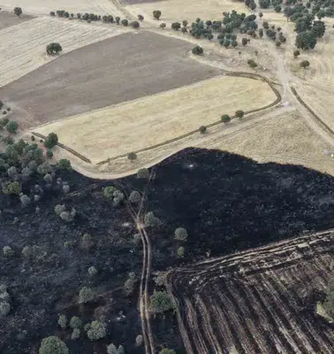 Çivril’de korkutan yangın: 100 dönümlük arazi küle döndü