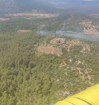 Menteşe'de ormanlık alanda korkutan yangın: Ekiplerin hızlı müdahalesi faciayı önledi