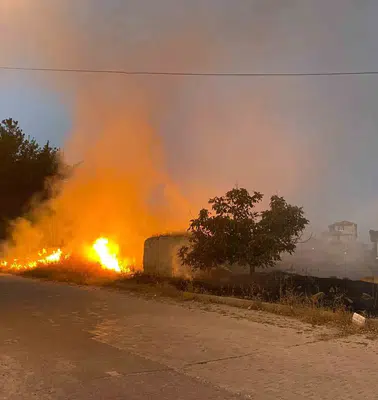 Çardak'ta geceyi aydınlatan alevler korkuttu: Evlere sıçramadan söndürüldü