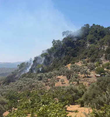 Dağyeni’nde alevlere havadan ve karadan koordineli müdahale